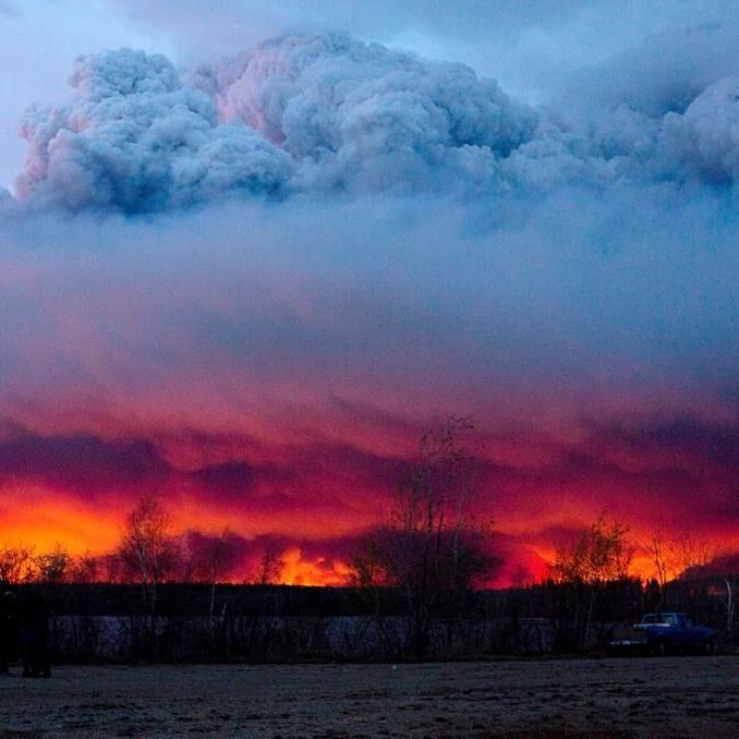 Carbon emissions from boreal forest fires rose in 2021